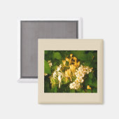 ワイルドバラハニーサックル冷凍機磁石 マグネット (正面/裏面)