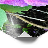 ワイルドバラプリント フォトプリント            (角)