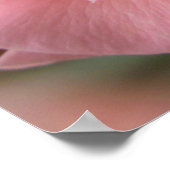 ワイルドバラポスタープリント美しい花芸術プリント ポスター (角)