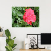 ワイルドバラポスター ポスター (ホームオフィス)