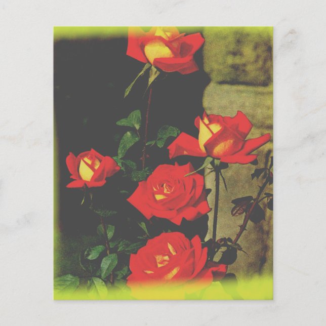 ワイルドバラ固定 (正面)