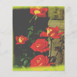 ワイルドバラ固定