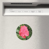 ワイルドバラ磁石 マグネット (インサイチュ (食洗機))