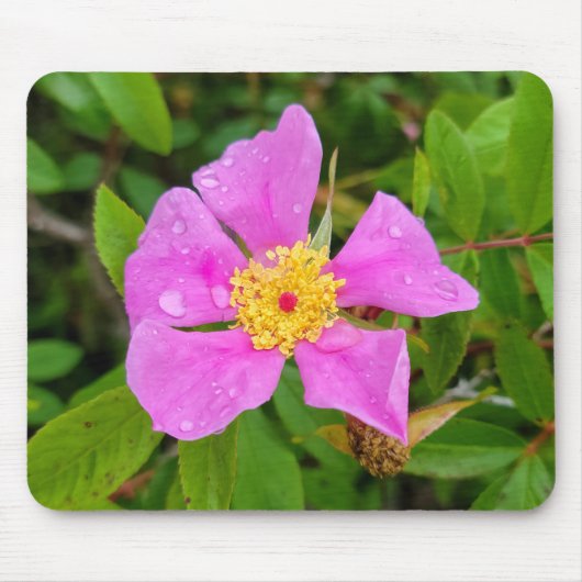 ワイルドバラ露マウスパッド マウスパッド (正面)