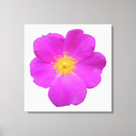 ワイルドバラ2 キャンバスプリント (正面)