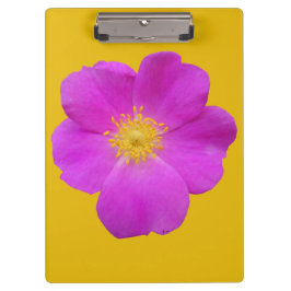 ワイルドバラ2 クリップボード