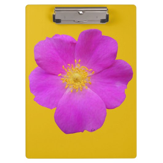 ワイルドバラ2 クリップボード (正面)