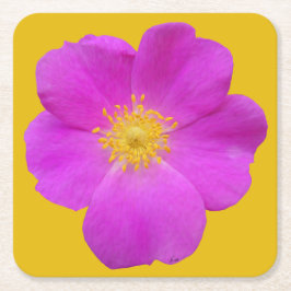 ワイルドバラ2 スクエアペーパーコースター