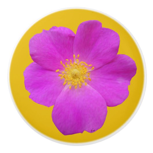 ワイルドバラ2 セラミックノブ (正面)