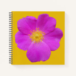 ワイルドバラ2 ノートブック