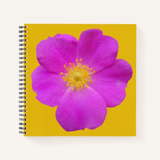 ワイルドバラ2 ノートブック (正面)