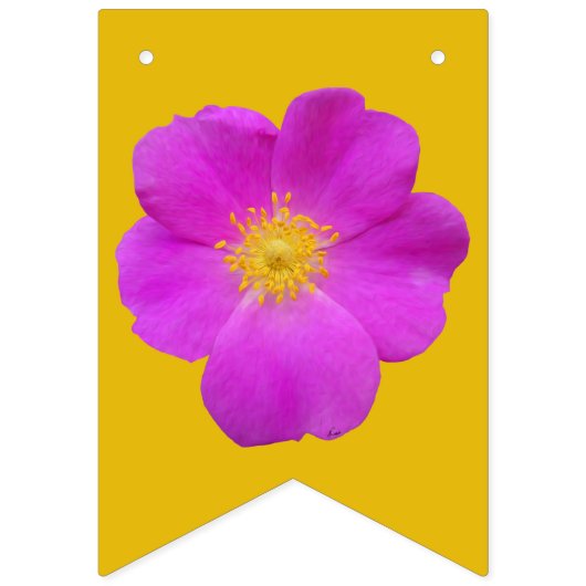 ワイルドバラ2 バンティングフラッグ (第1の旗)