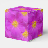 ワイルドバラ2 フェイバーボックス (裏面サイド)