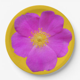 ワイルドバラ2 ペーパープレート