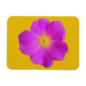 ワイルドバラ2 マグネット (横)