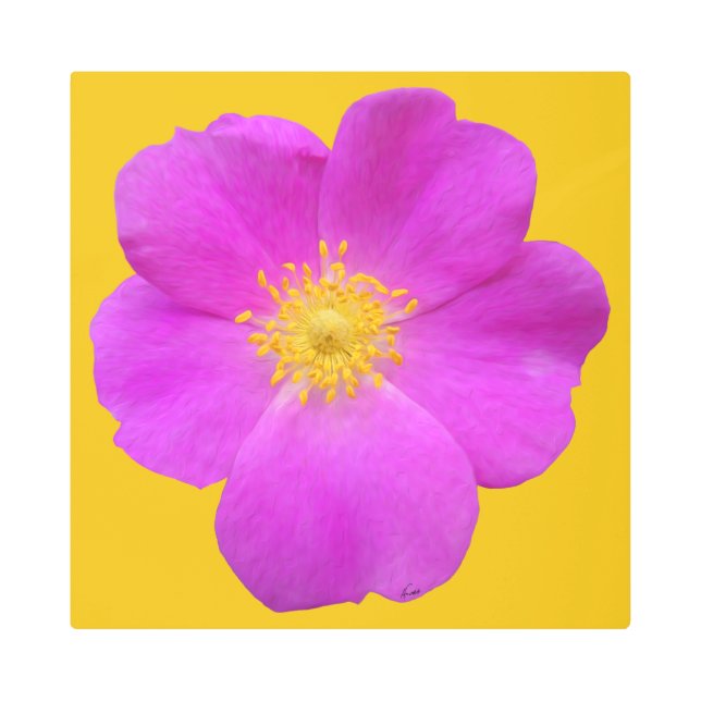 ワイルドバラ2 メタルプリント (正面)