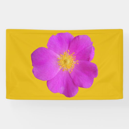 ワイルドバラ2 横断幕 (横)