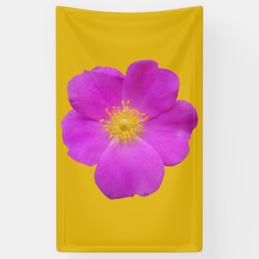 ワイルドバラ2 横断幕 (縦)