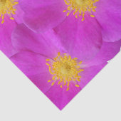 ワイルドバラ2 薄葉紙 (詳細)