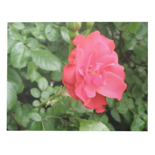 ワイルドバラ ノートパッド (正面)