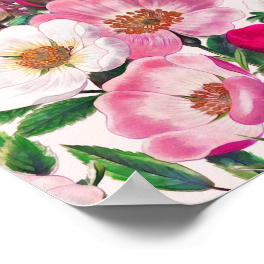 ワイルドバラ ポスター (角)