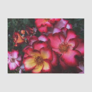 ワイルドバラ 薄葉紙