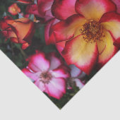 ワイルドバラ 薄葉紙 (詳細)