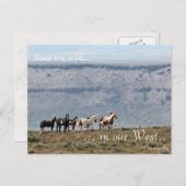 ワイルドバンド、事前アドレス指定:インテリアの秒 ポストカード (正面/裏面)