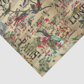 ワイルドバードソングヴィンテージエフェラ 薄葉紙 (詳細)