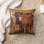 ワイルドパタゴニアのスピリット写真 クッション (ブランケット)