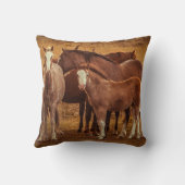 ワイルドパタゴニアのスピリット写真 クッション (裏面)