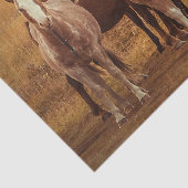 ワイルドパタゴニアのスピリット写真 薄葉紙 (詳細)