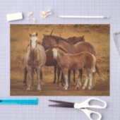 ワイルドパタゴニアのスピリット写真 薄葉紙 (クラフト)