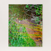 ワイルドパトリッジ ジグソーパズル (縦)