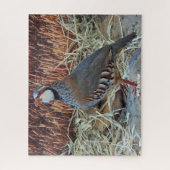 ワイルドパトリッジ ジグソーパズル (縦)