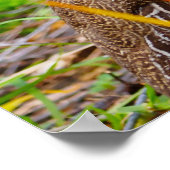 ワイルドパトリッジ ポスター (角)