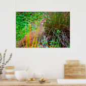 ワイルドパトリッジ ポスター (キッチン)