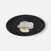 ワイルドパンシー紙プレート ペーパープレート (アングル)