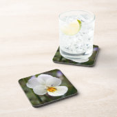 ワイルドパンジー懸命プラスチックのコースター コースター (右側)