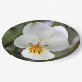 ワイルドパンジー紙プレート ペーパープレート (アングル)