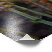 ワイルドパープルスナップドラゴンズ写真プリント フォトプリント            (角)