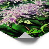 ワイルドパープルビーバーム ポスター (角)