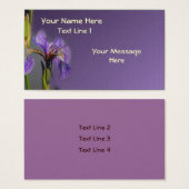 ワイルドパープルブルーフラッグアイリス花 (正面&裏面)