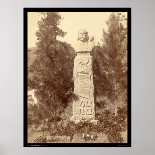 ワイルドビルヒックモニュメントSD 1891 ポスター (正面)