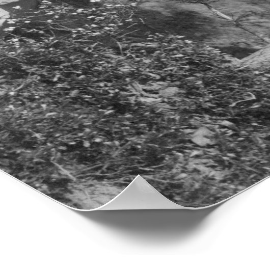 ワイルドビル・ヒコックの墓石の写真 ポスター (角)