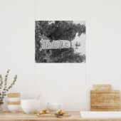 ワイルドビル・ヒコックの墓石の写真 ポスター (キッチン)