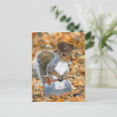 ワイルドビル「ビッグボーイ」 ポストカード (スタンド正面)