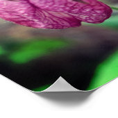 ワイルドピンクレディスリッパオーキッドフラワーペア2 ポスター (角)