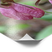 ワイルドピンクレディスリッパオーキッドフラワーペア8x10 フォトプリント            (角)