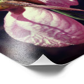 ワイルドピンクレディスリッパーオーキッドペアクローズアップ8x8 フォトプリント (角)